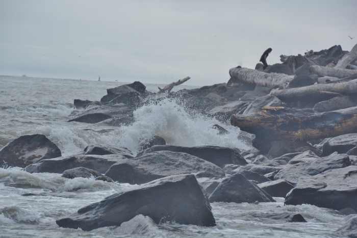 Waikiki Beach on the north jetty